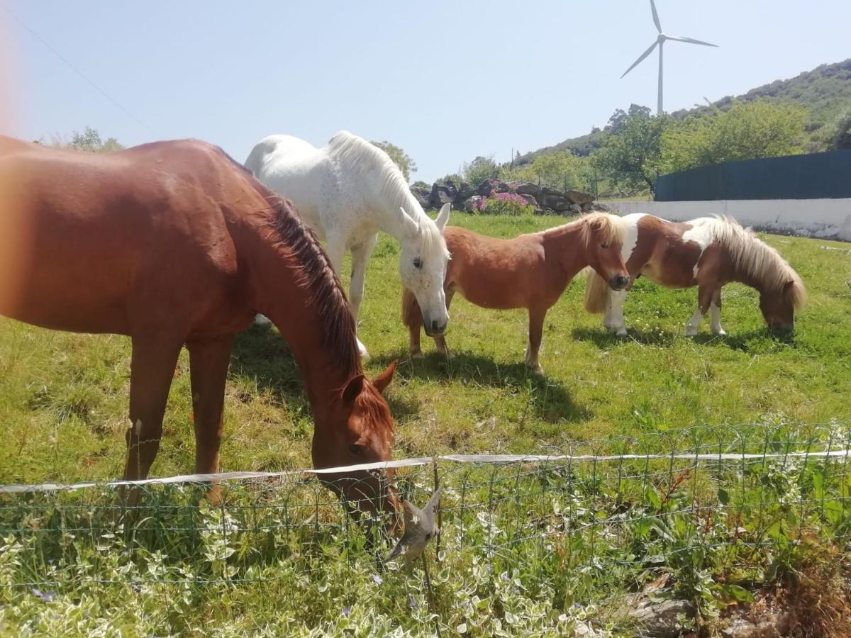 Casinha De Ferias No Campo - Quintinha Dos Cavalos - Arruda Dos Vinhos Sabugos 外观 照片