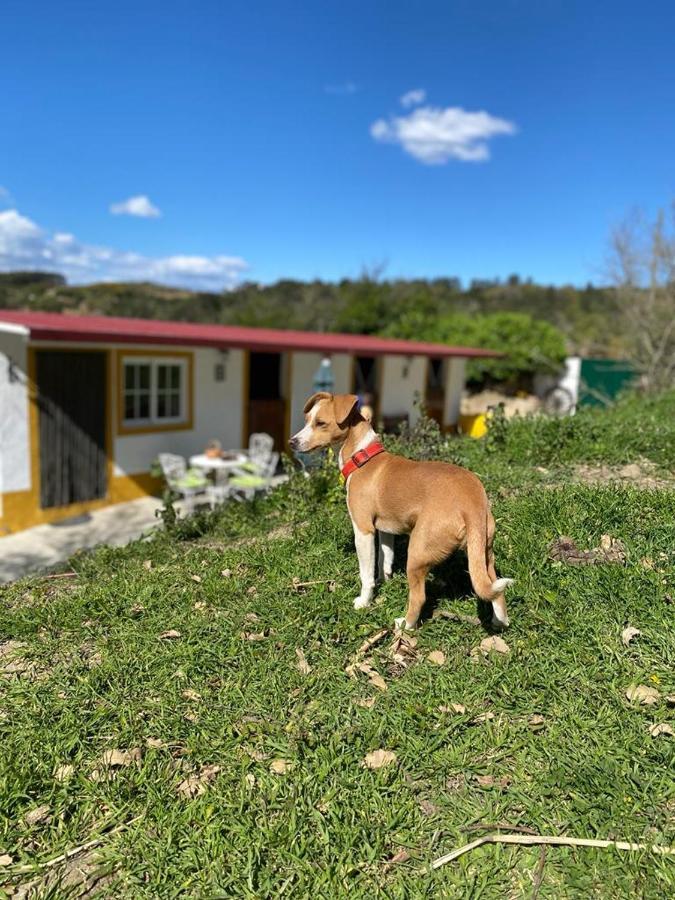 Casinha De Ferias No Campo - Quintinha Dos Cavalos - Arruda Dos Vinhos Sabugos 外观 照片