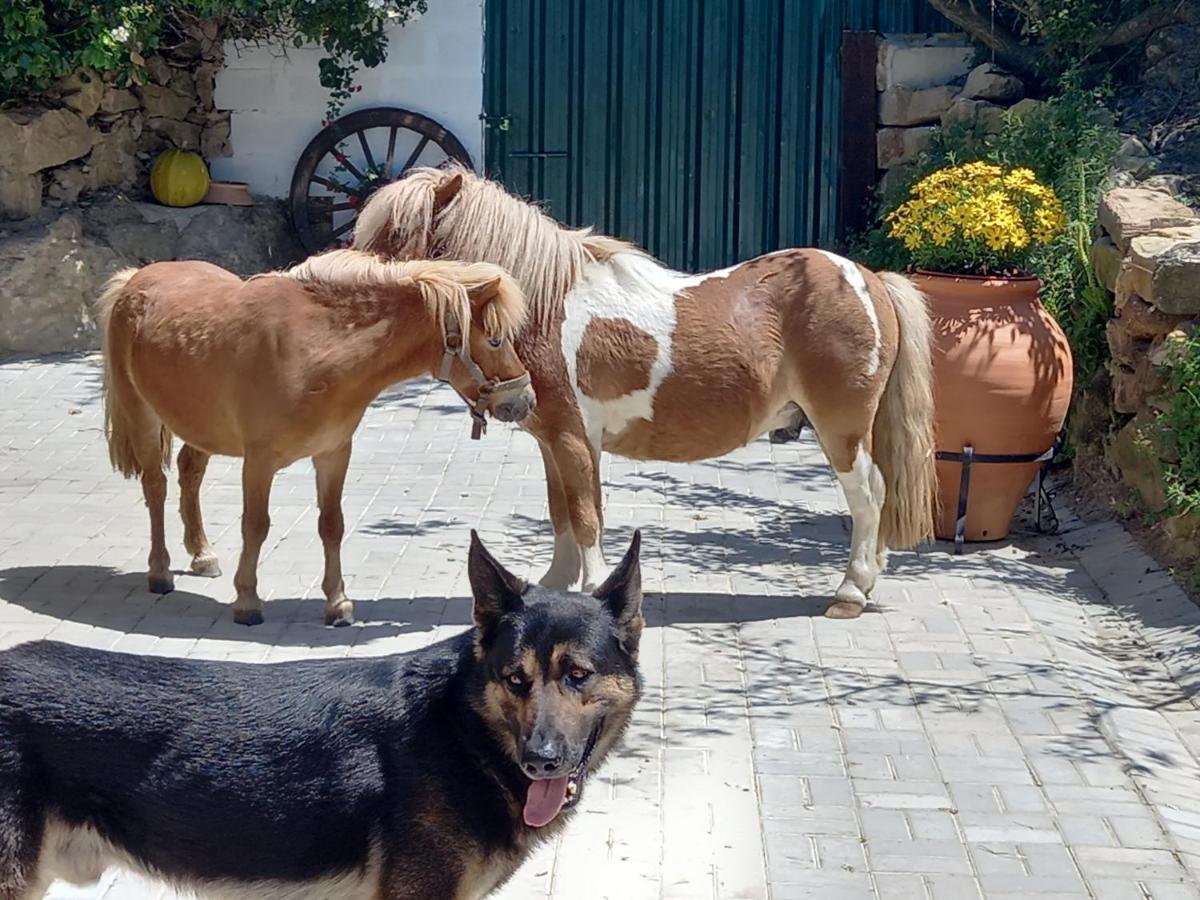 Casinha De Ferias No Campo - Quintinha Dos Cavalos - Arruda Dos Vinhos Sabugos 外观 照片