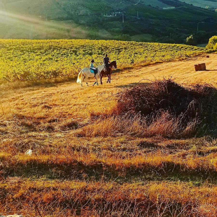 Casinha De Ferias No Campo - Quintinha Dos Cavalos - Arruda Dos Vinhos Sabugos 外观 照片