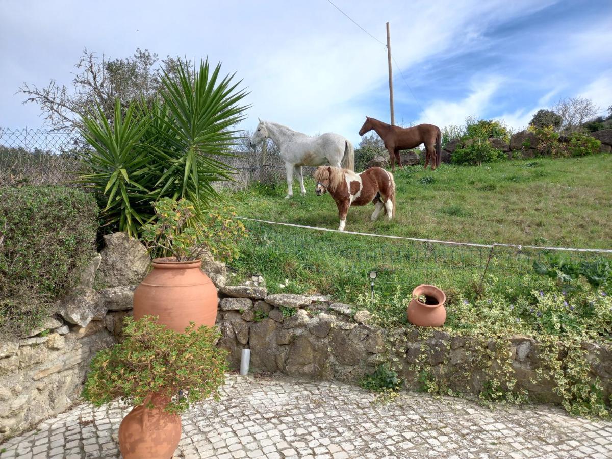 Casinha De Ferias No Campo - Quintinha Dos Cavalos - Arruda Dos Vinhos Sabugos 外观 照片