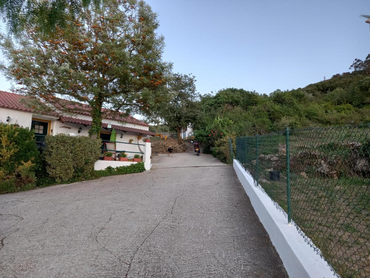 Casinha De Ferias No Campo - Quintinha Dos Cavalos - Arruda Dos Vinhos Sabugos 外观 照片